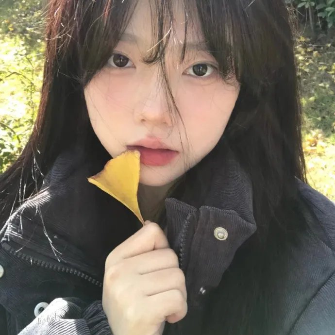 最后的恐龙